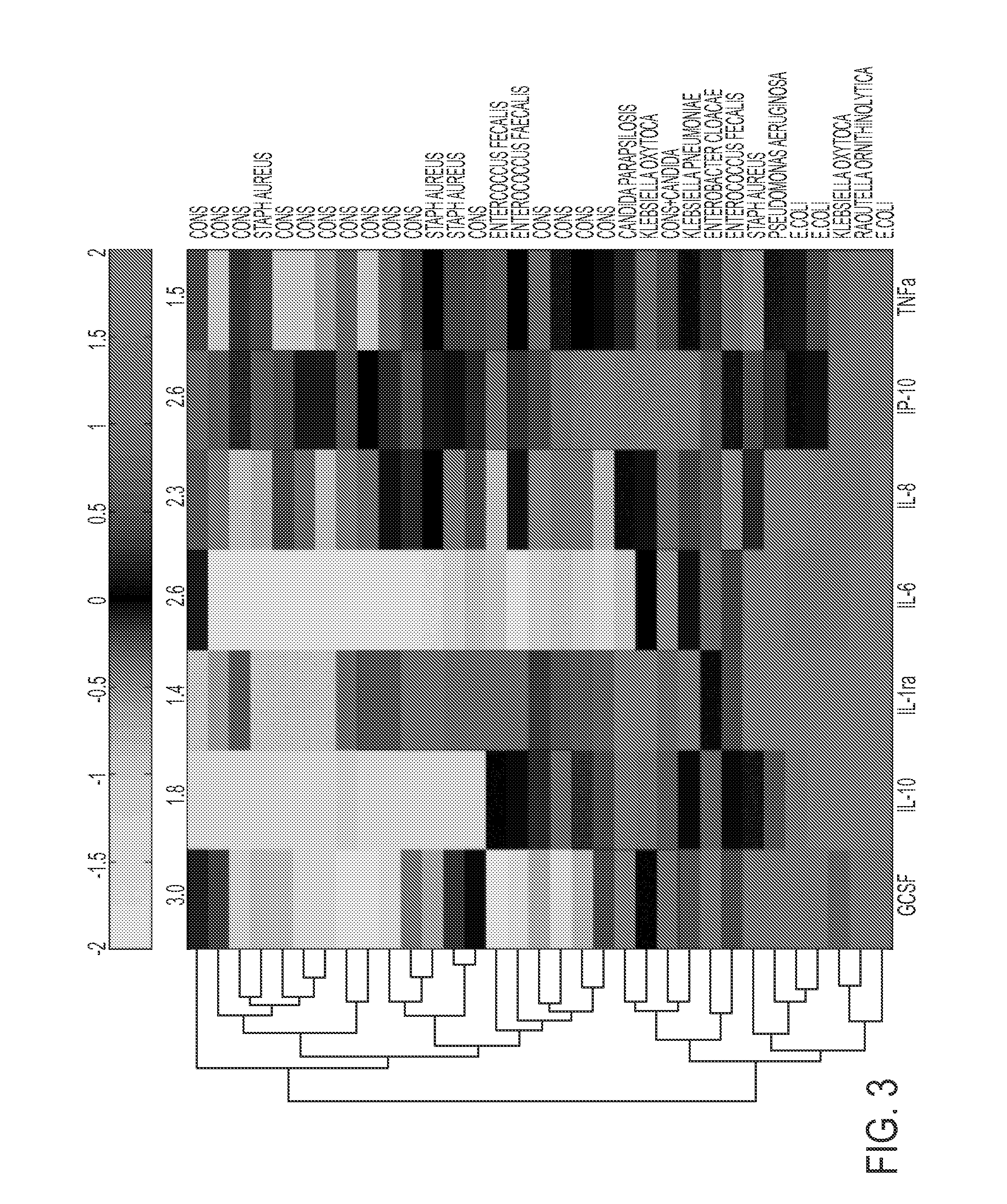 System, method and computer program product for the organism-specific diagnosis of septicemia in infants