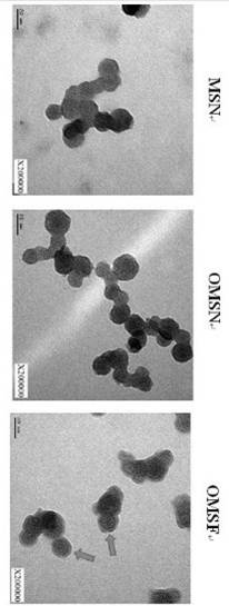 Preparation method and application of PEGylated MSNs nanoparticle and mesoporous silica modified sustained-release hydrogel composite material