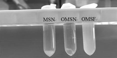 Preparation method and application of PEGylated MSNs nanoparticle and mesoporous silica modified sustained-release hydrogel composite material