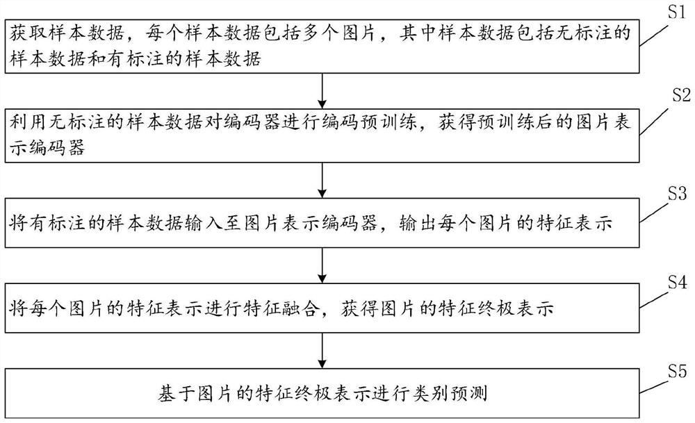 Benign and malignant ulcer identification method and system
