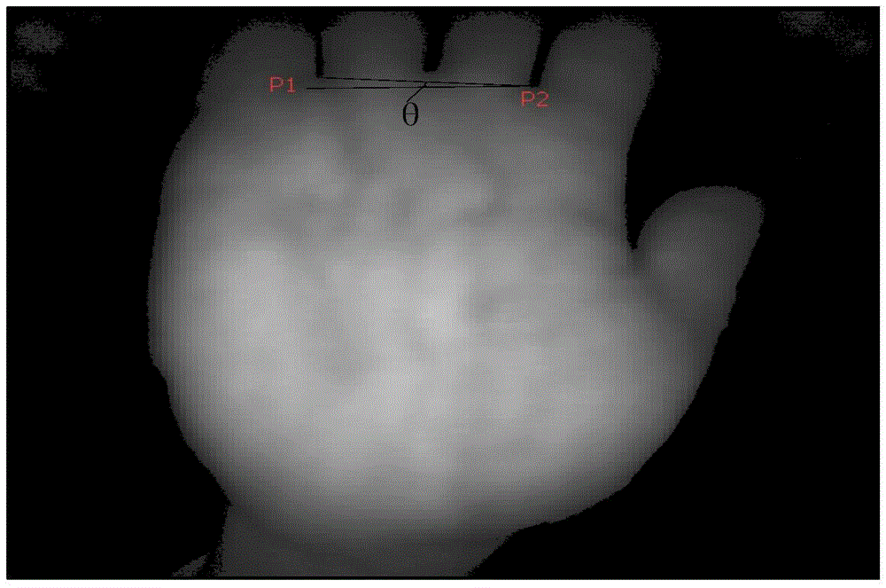 Palm vein feature extracting and matching method based on eight neighborhood and secondary matching
