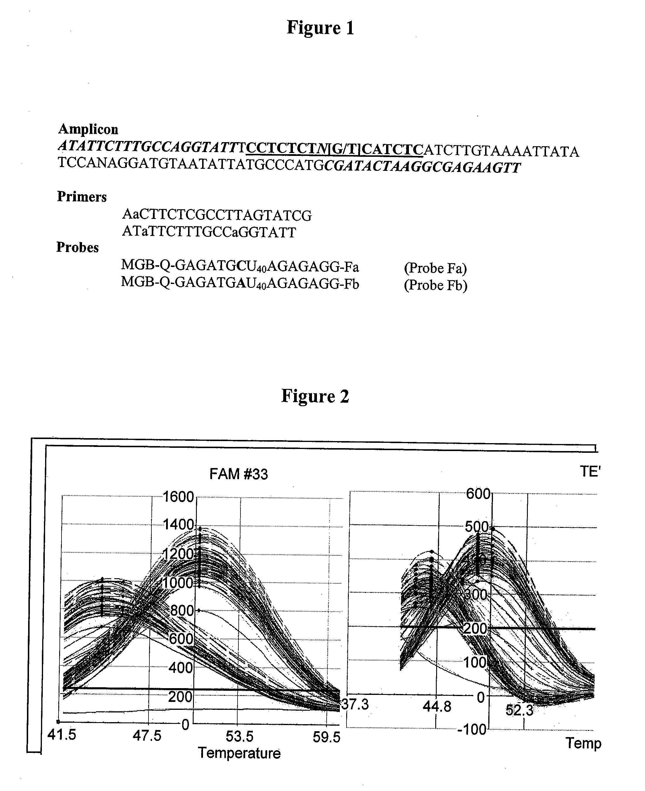 Single nucleotide polymorphism analysis of highly polymorphic target sequences