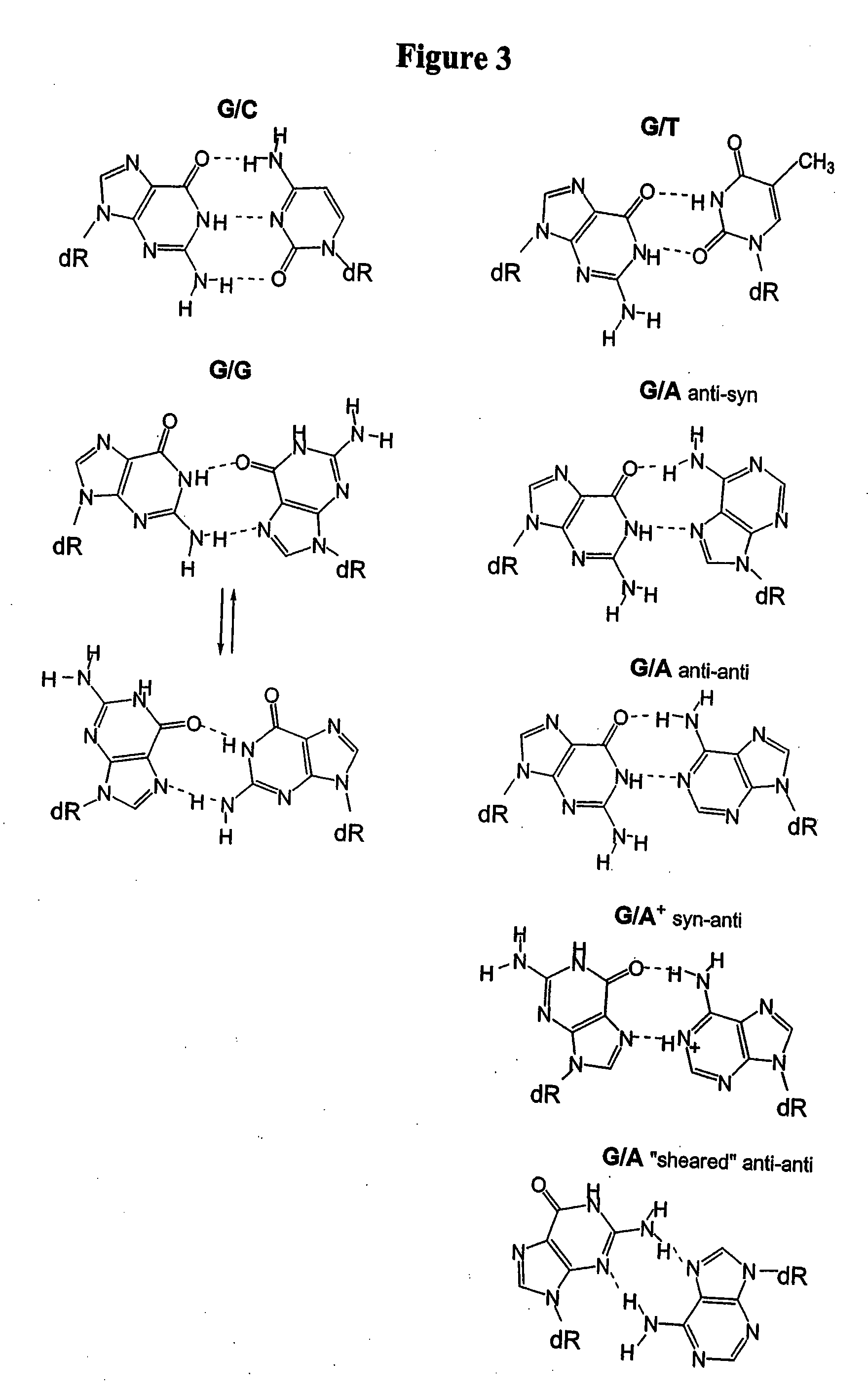 Single nucleotide polymorphism analysis of highly polymorphic target sequences