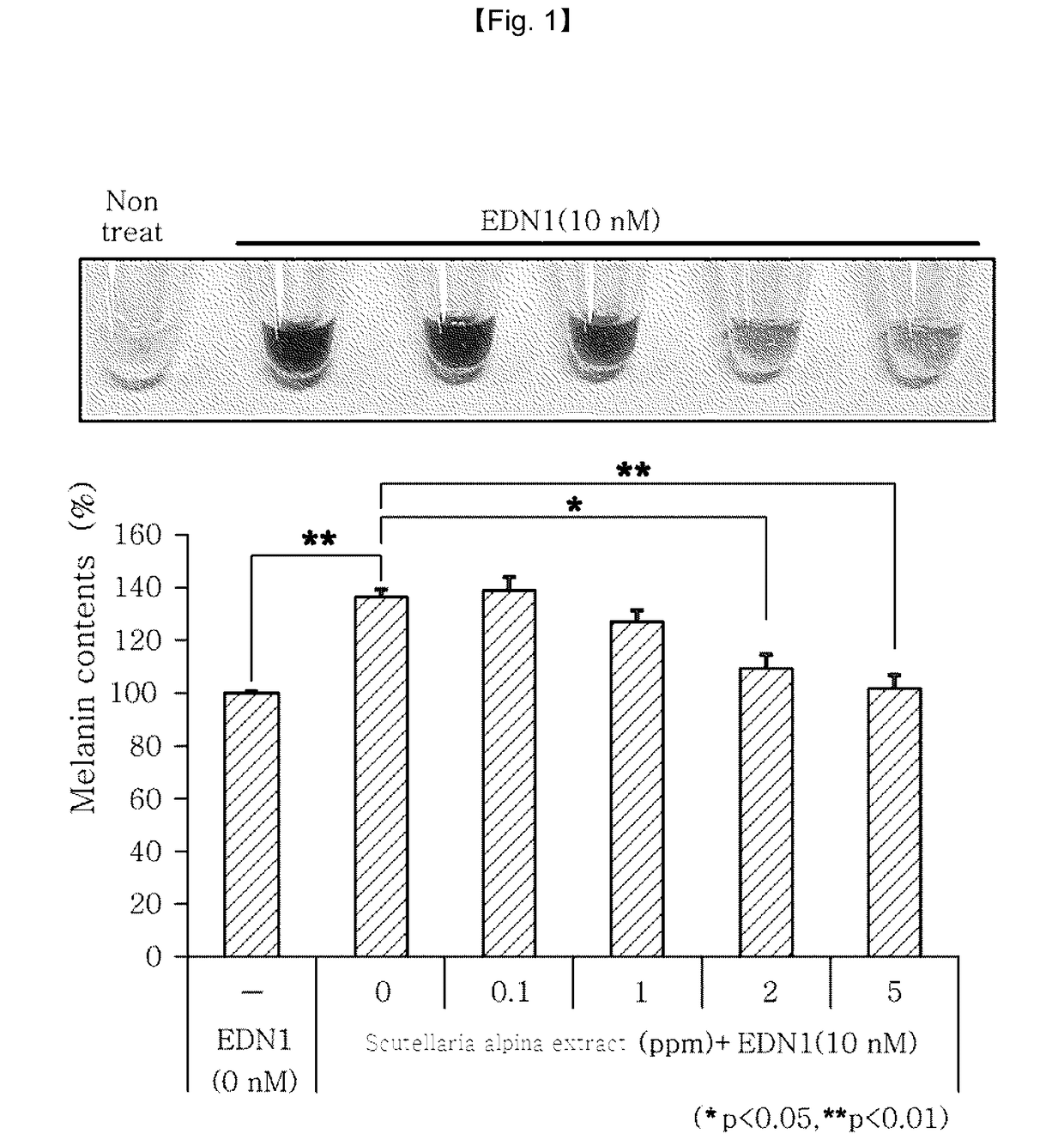 Whitening composition comprising scutellaria alpina extract