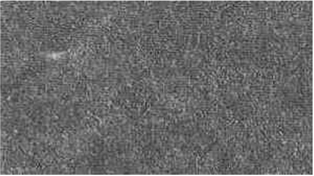 Pigment dyeing method for improving leveling property and cloth cover effect