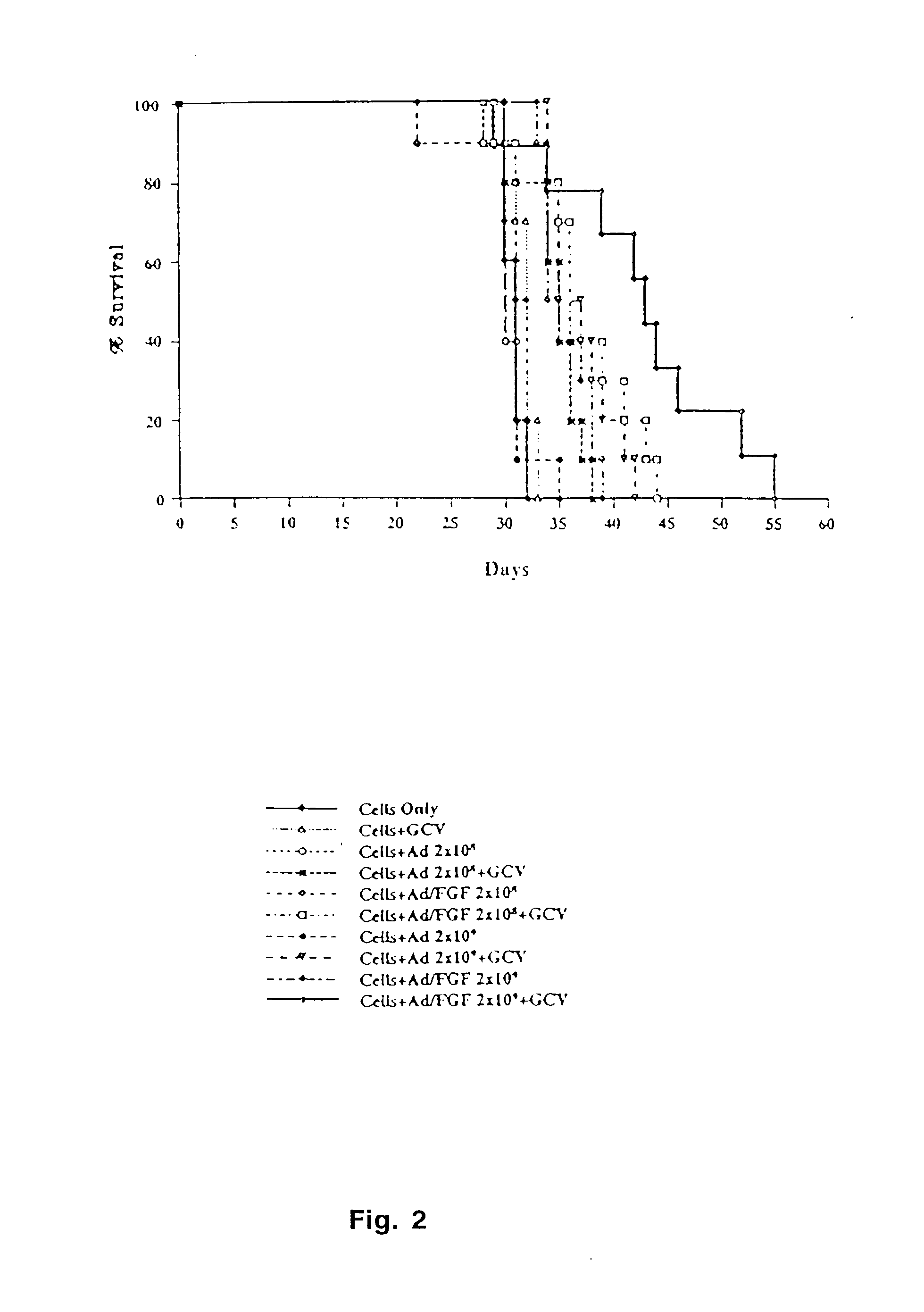 Infectivity-enhanced conditionally-replicative adenovirus and uses thereof