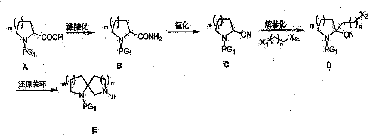 Preparation method of alpha-aza toroid drug template