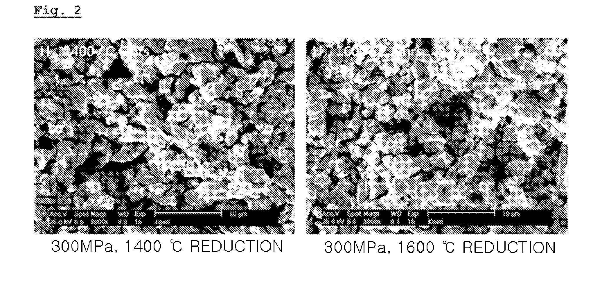 Porous uo2 sintered pellets and method for fabricating porous uo2 sintered pellets and electrolytic reduction using same