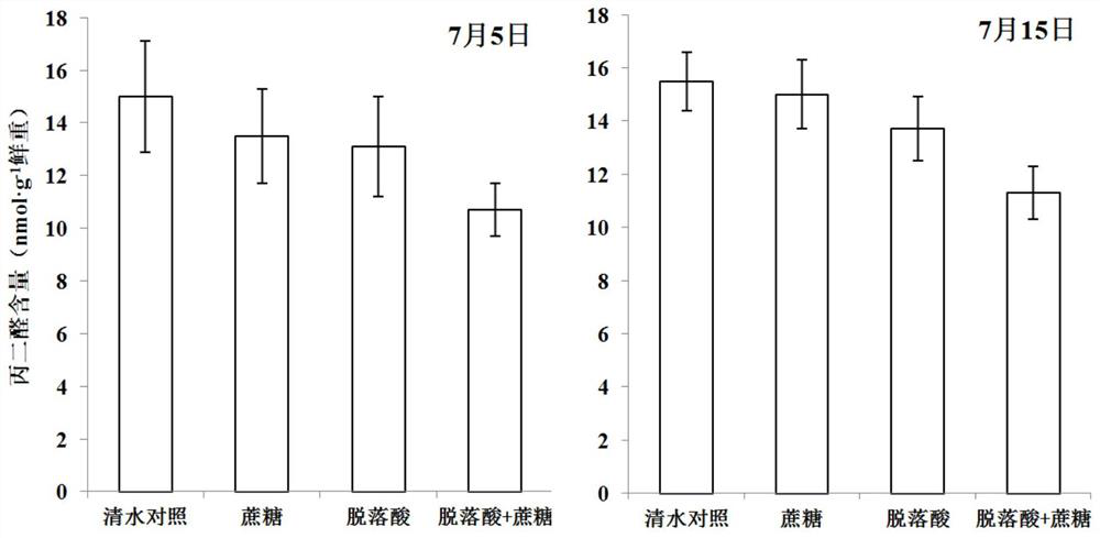 A kind of high temperature resistant rice plant growth regulator and its use method and application
