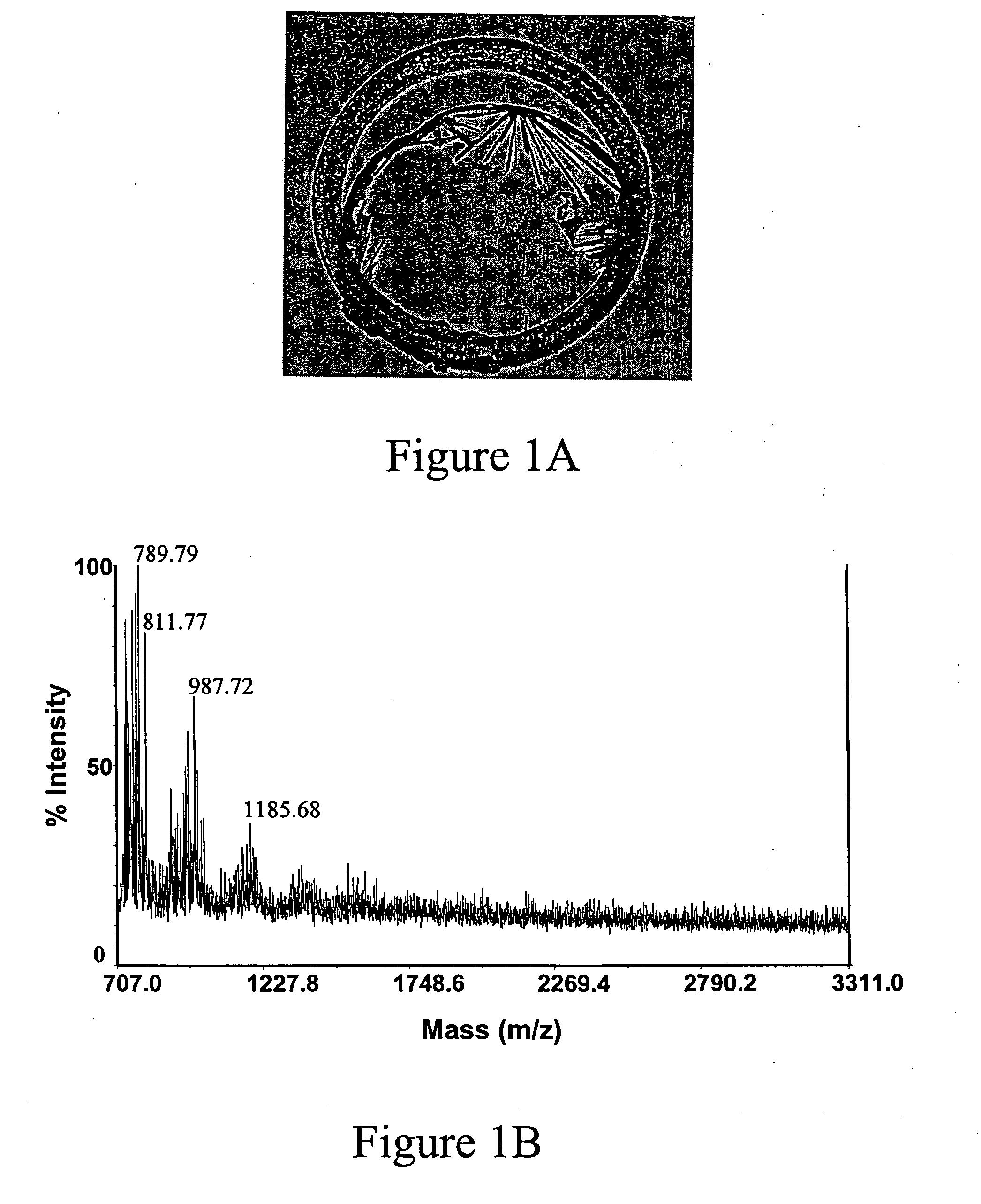 Matrix with noise reduction additive and disposable target containing the same