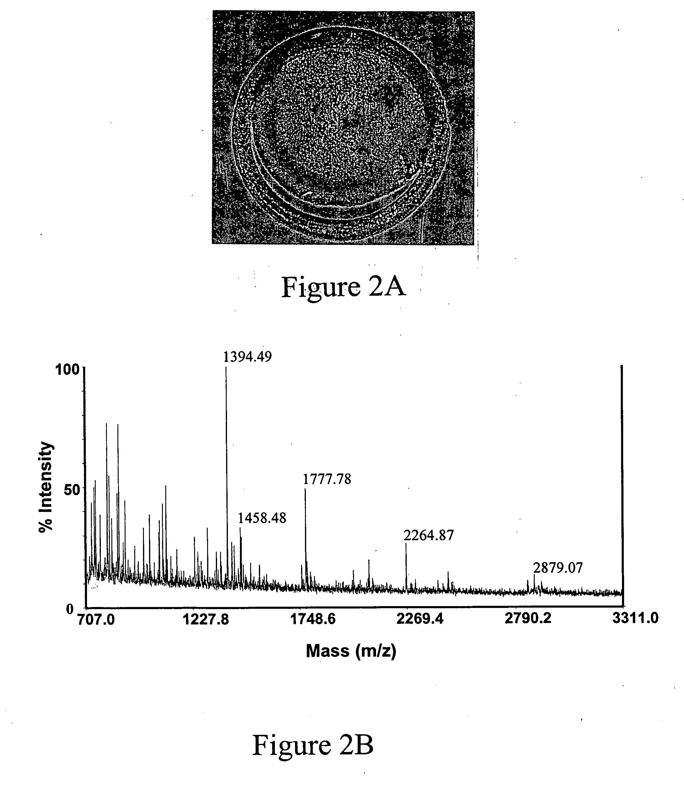 Matrix with noise reduction additive and disposable target containing the same