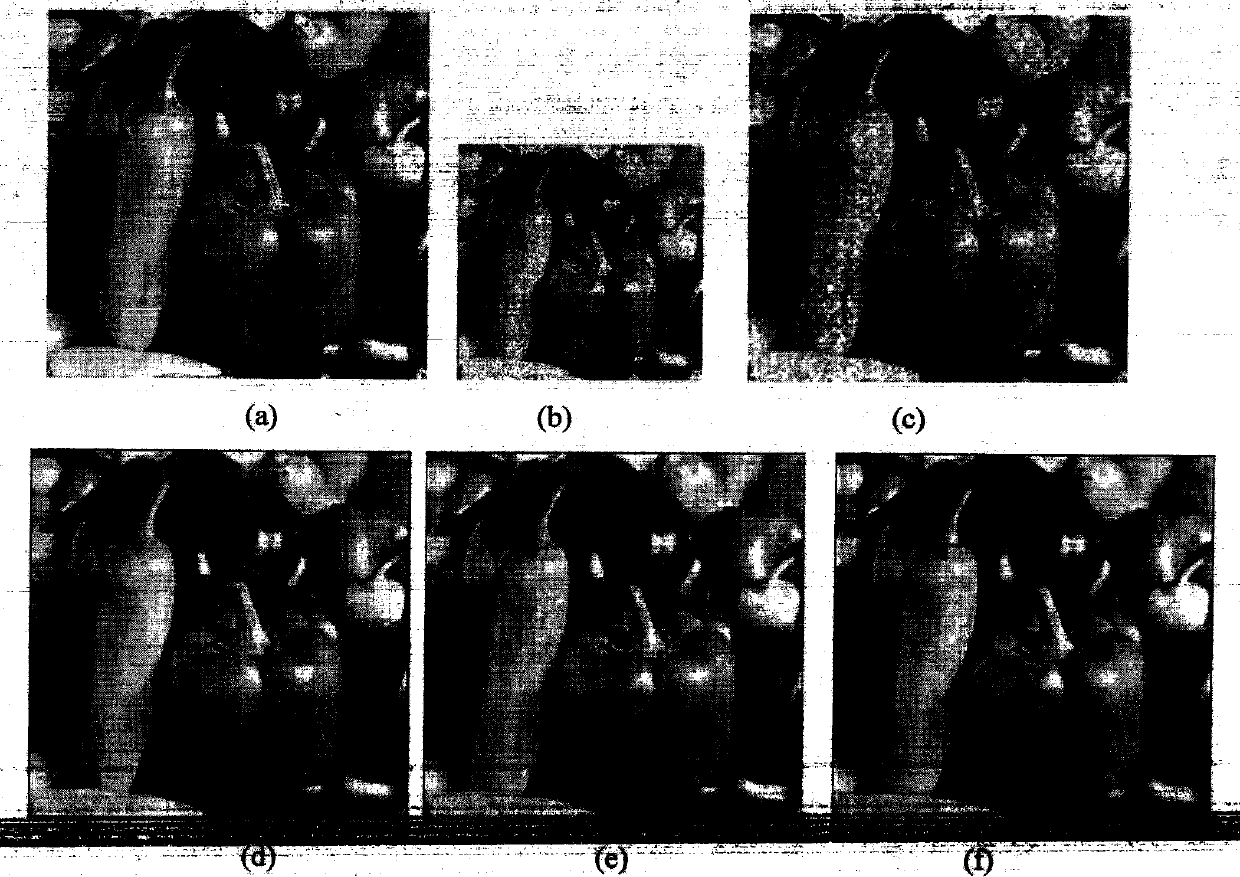 Super-resolution image reconstruction method based on coupled partial differential equation model