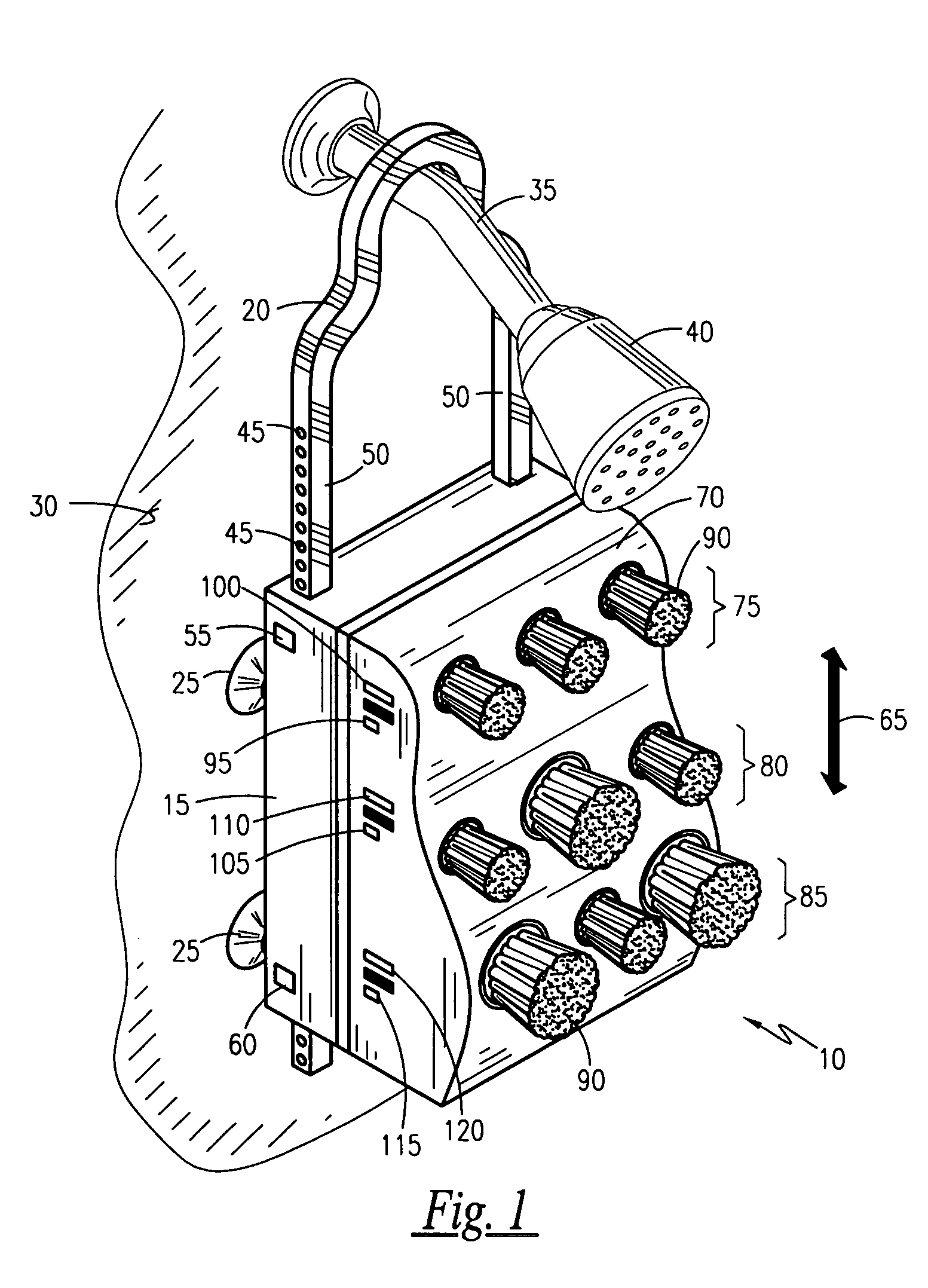 Shower mounted back cleansing and massaging apparatus