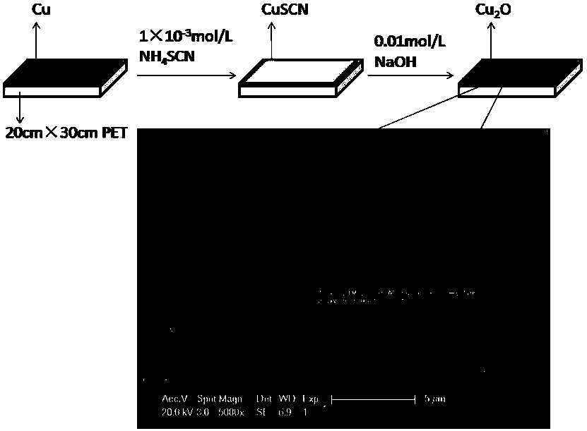 Flexible cuprous oxide film, and preparation method and applications thereof