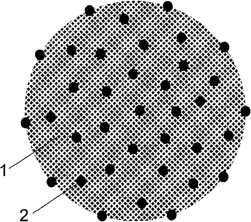 Nano microsphere loading with platinum-containing drugs, hydrogel coated with natural polymers and preparation method and application thereof