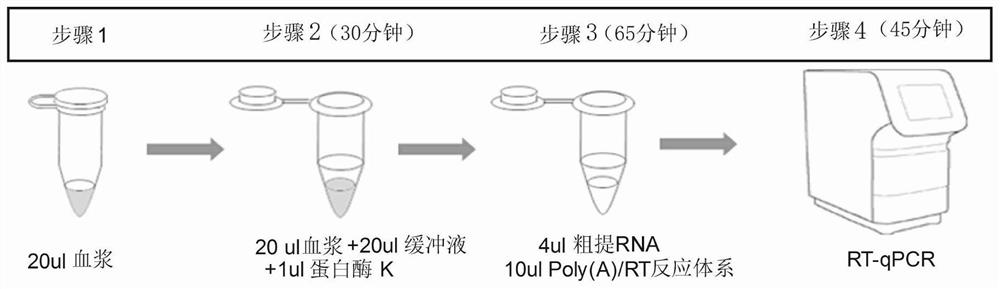 An RT-qPCR method for the direct quantitative detection of circulating miRNAs