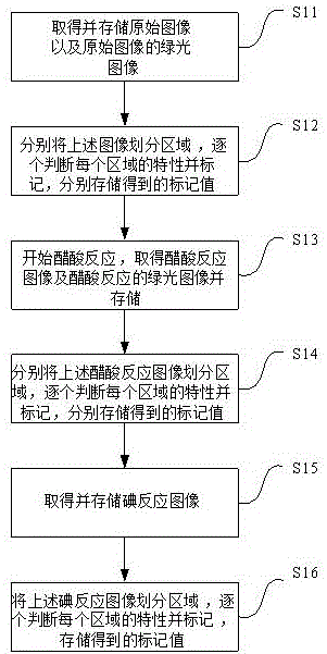 Method and device for collecting images of electronic colposcopy