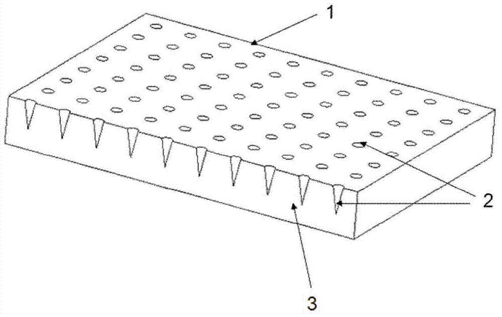 Microneedle template and preparation method thereof