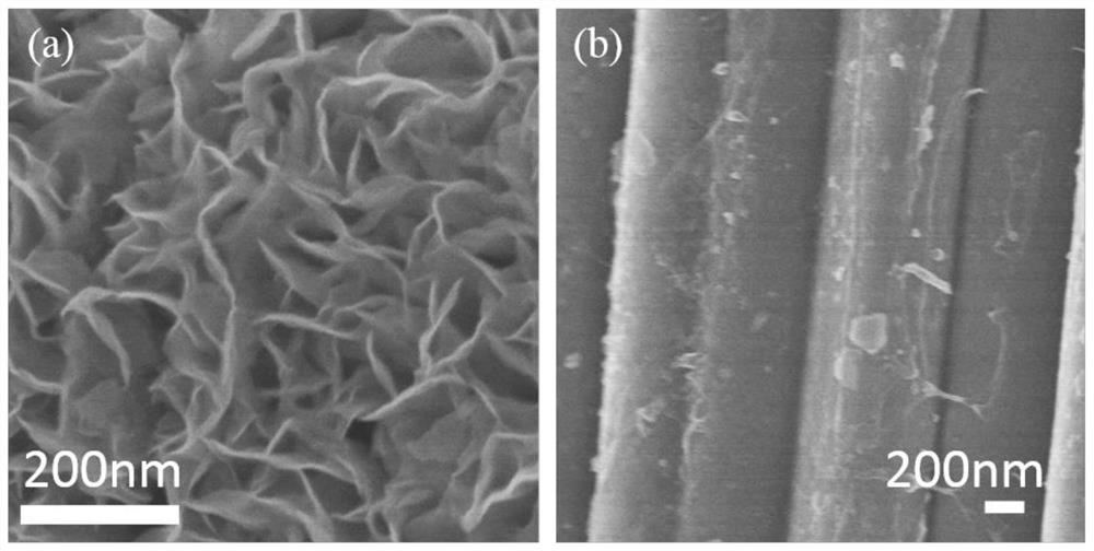 heteroatom nitrogen surface modification mos  <sub>2</sub> Preparation and Application of Nanomaterials