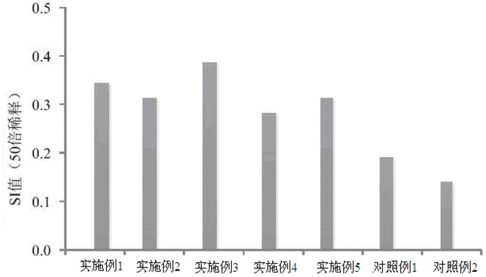 Chicory herb fermented product and preparation method thereof