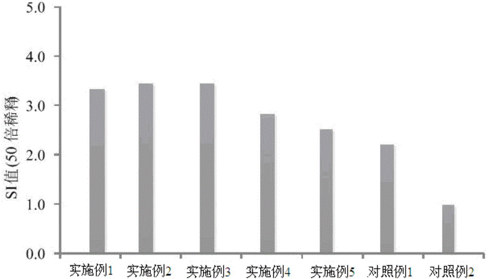 Chicory herb fermented product and preparation method thereof