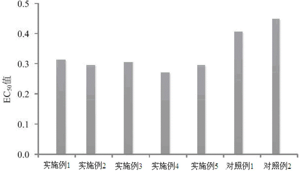 Chicory herb fermented product and preparation method thereof