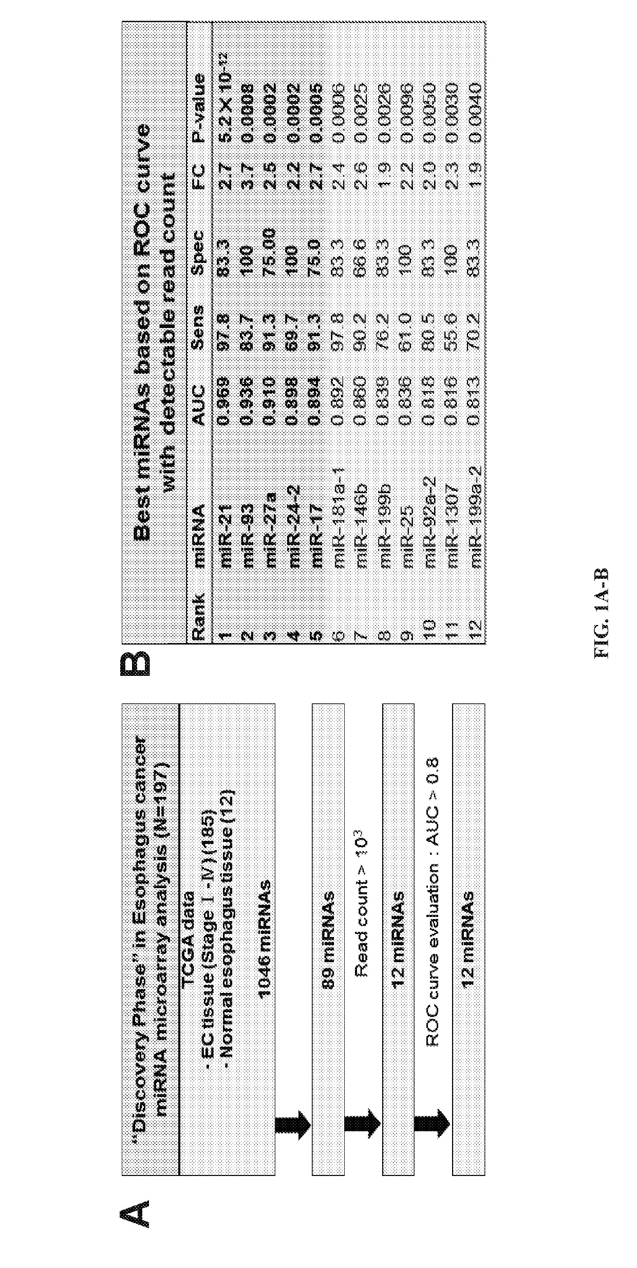 Methods for diagnosing and treating esophageal cancer