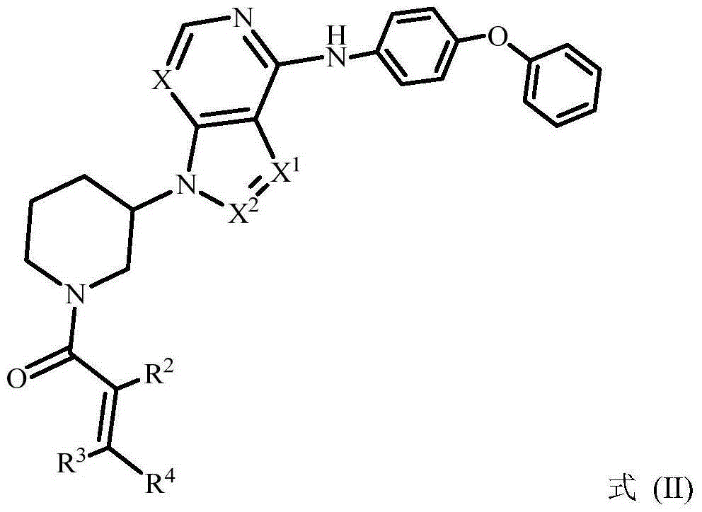 BTK (bruton tyrosine kinase) inhibitor and purpose of BTK inhibitor