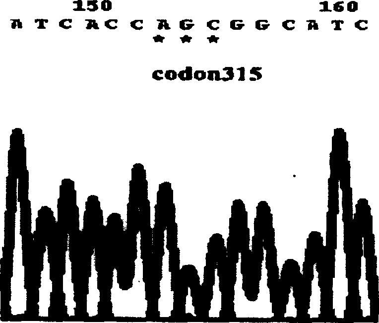 M.tuberculosis drug resistant gene detection reagent kit and process for preparation