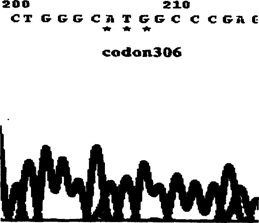 M.tuberculosis drug resistant gene detection reagent kit and process for preparation