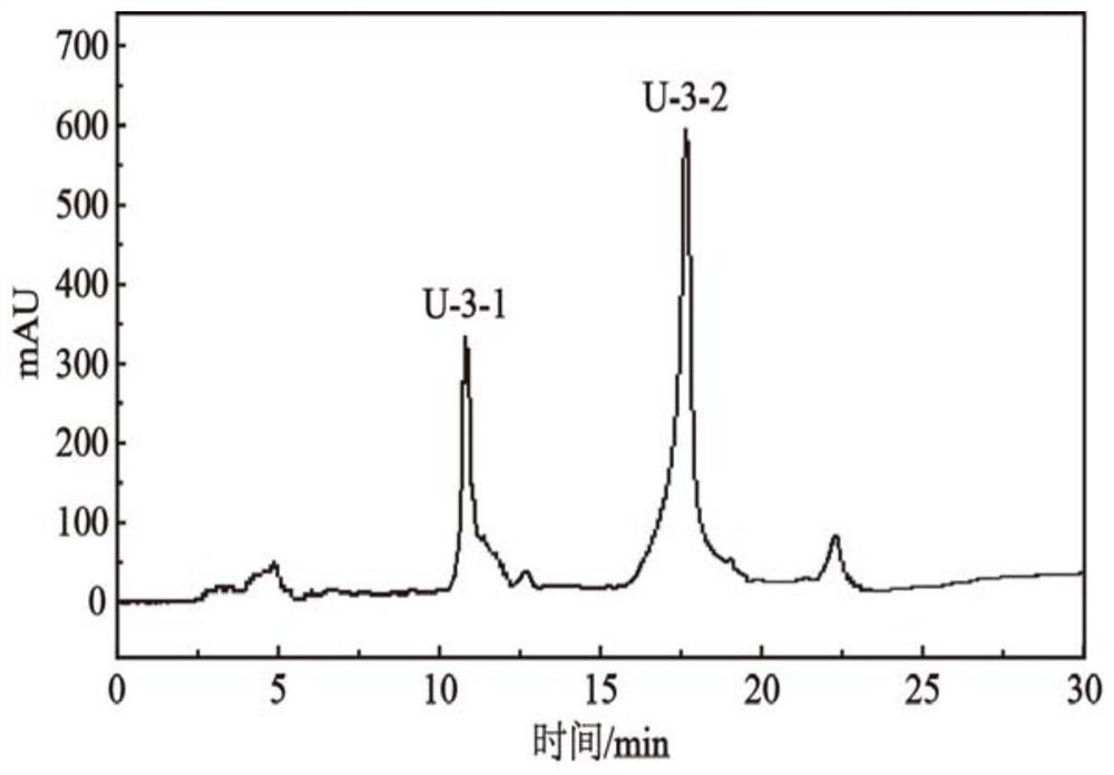 A kind of umami peptide and umami peptide seasoning and their preparation method