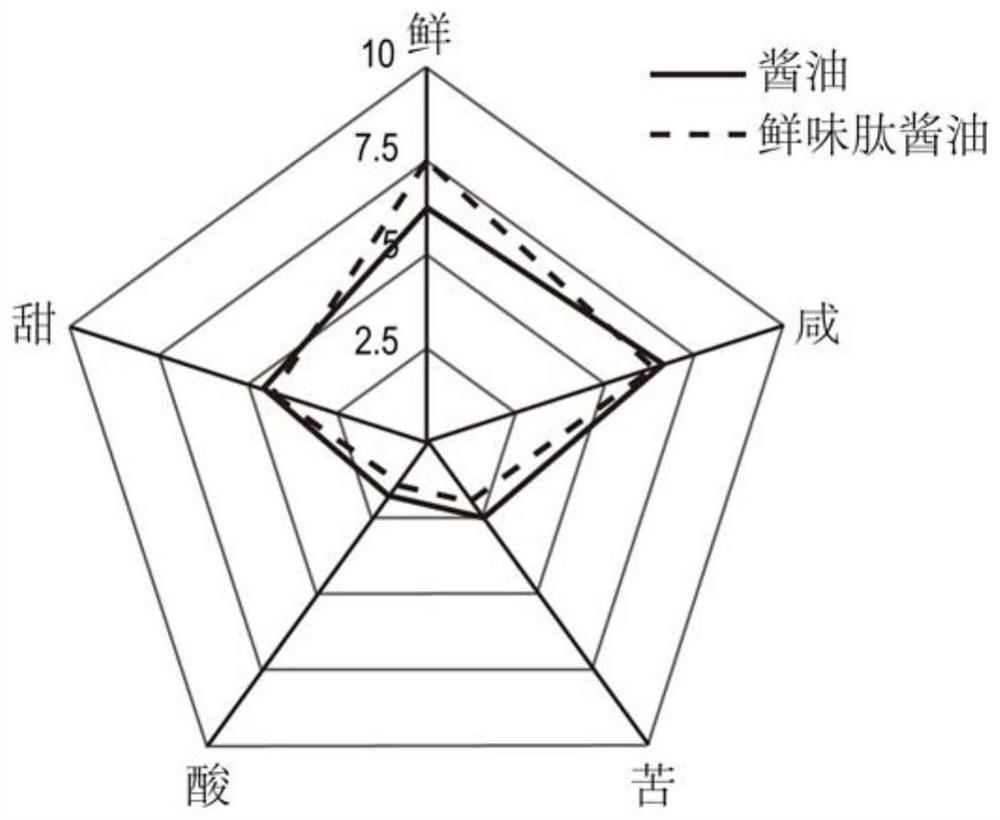 A kind of umami peptide and umami peptide seasoning and their preparation method