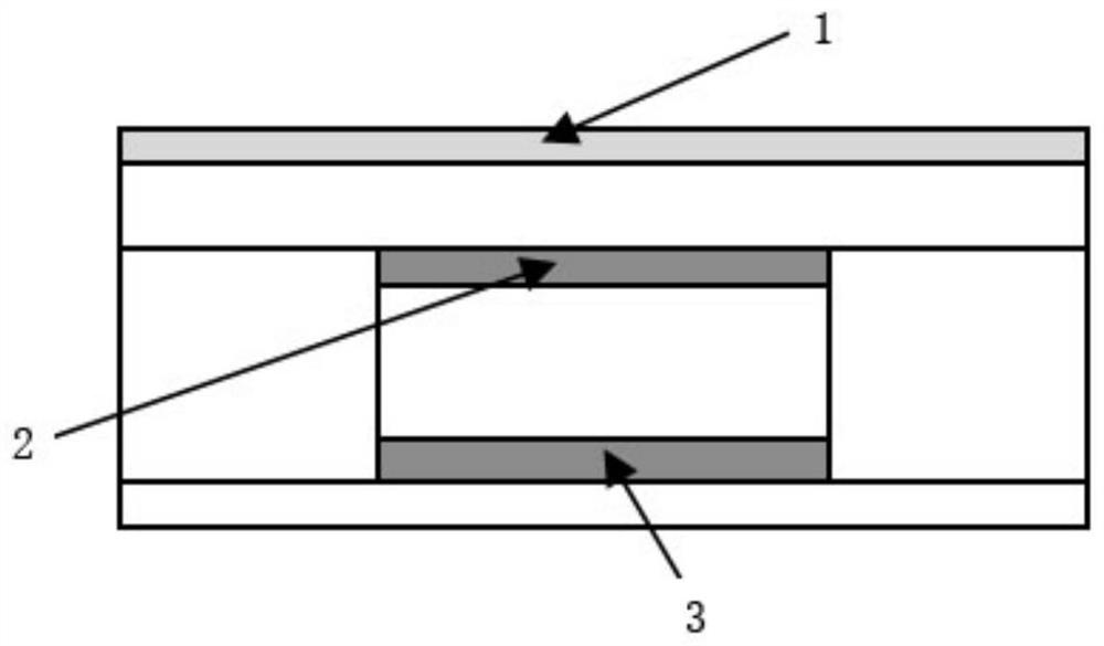 Metal waveguide sensor for regulating Raman scattering intensity ...