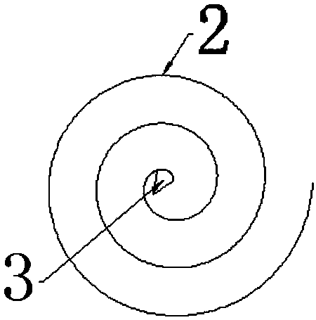 Spirally-curled adjustable variable-diameter infusion needle