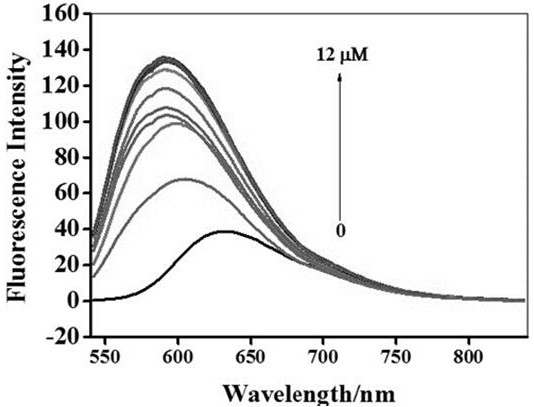 onoo-spectroscopy probe and preparation method, and method for measuring onoo- by ultraviolet-visible absorption spectrum and fluorescence spectrum