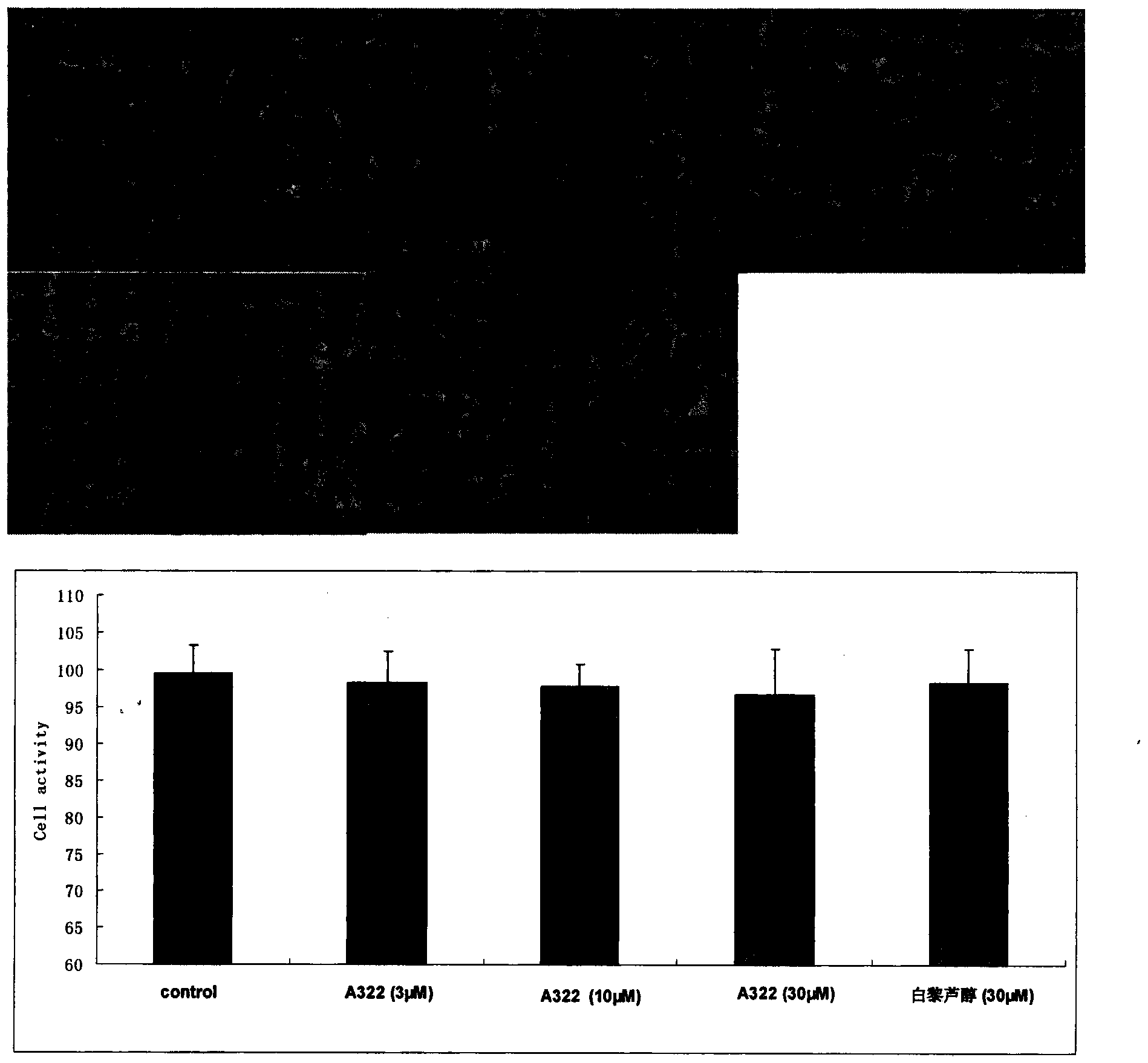 Anti-aging activity of novel chalcone compound