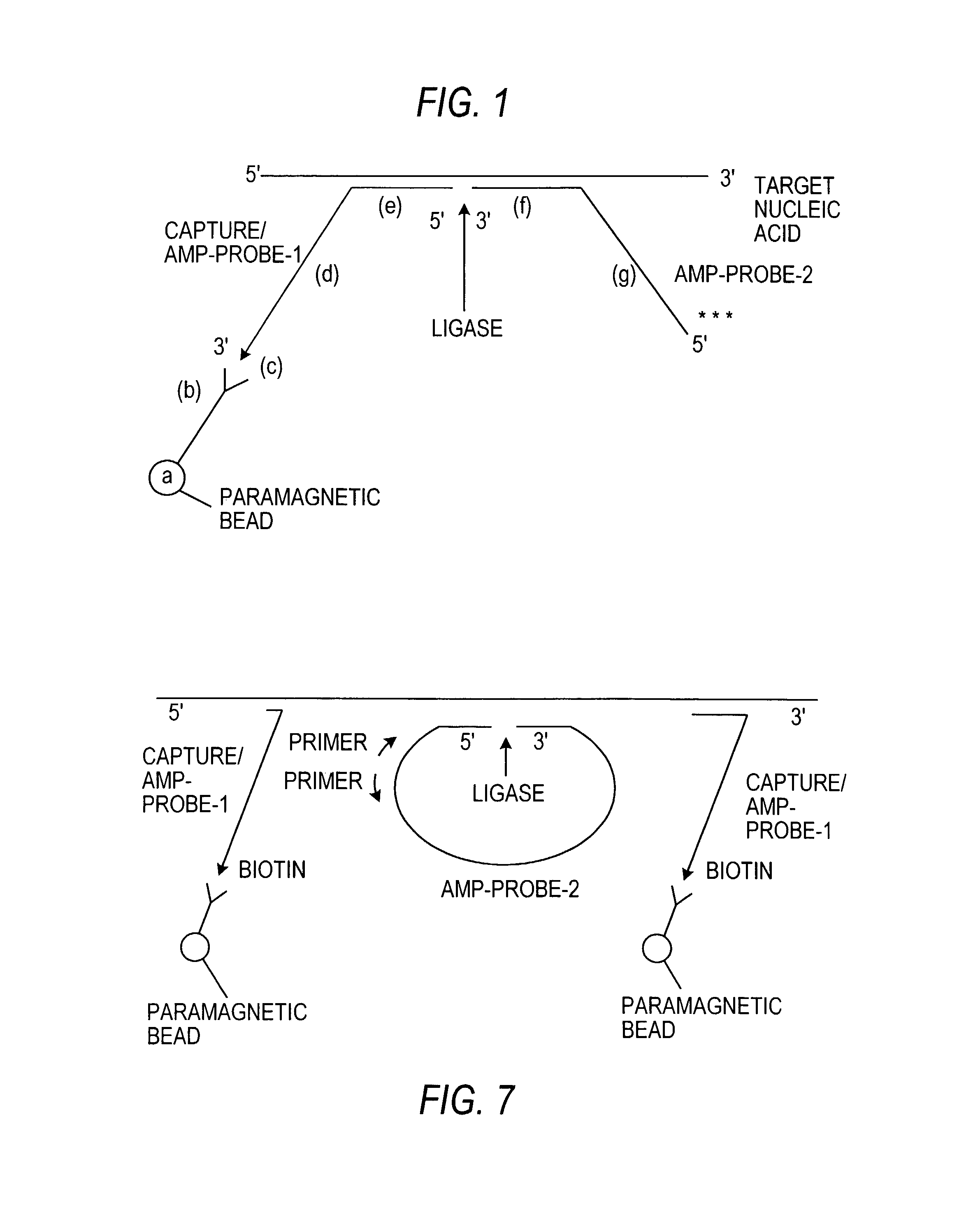 Nucleic acid amplification methods