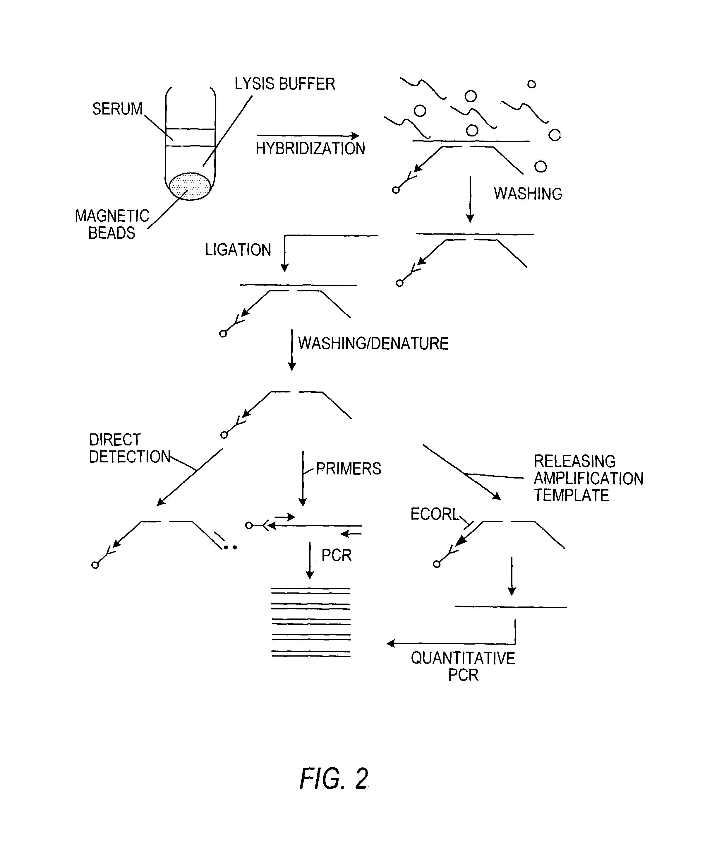 Nucleic acid amplification methods