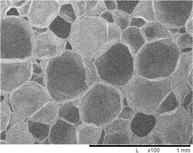 Method for preparing controlled degradable polypropylene foamed particles