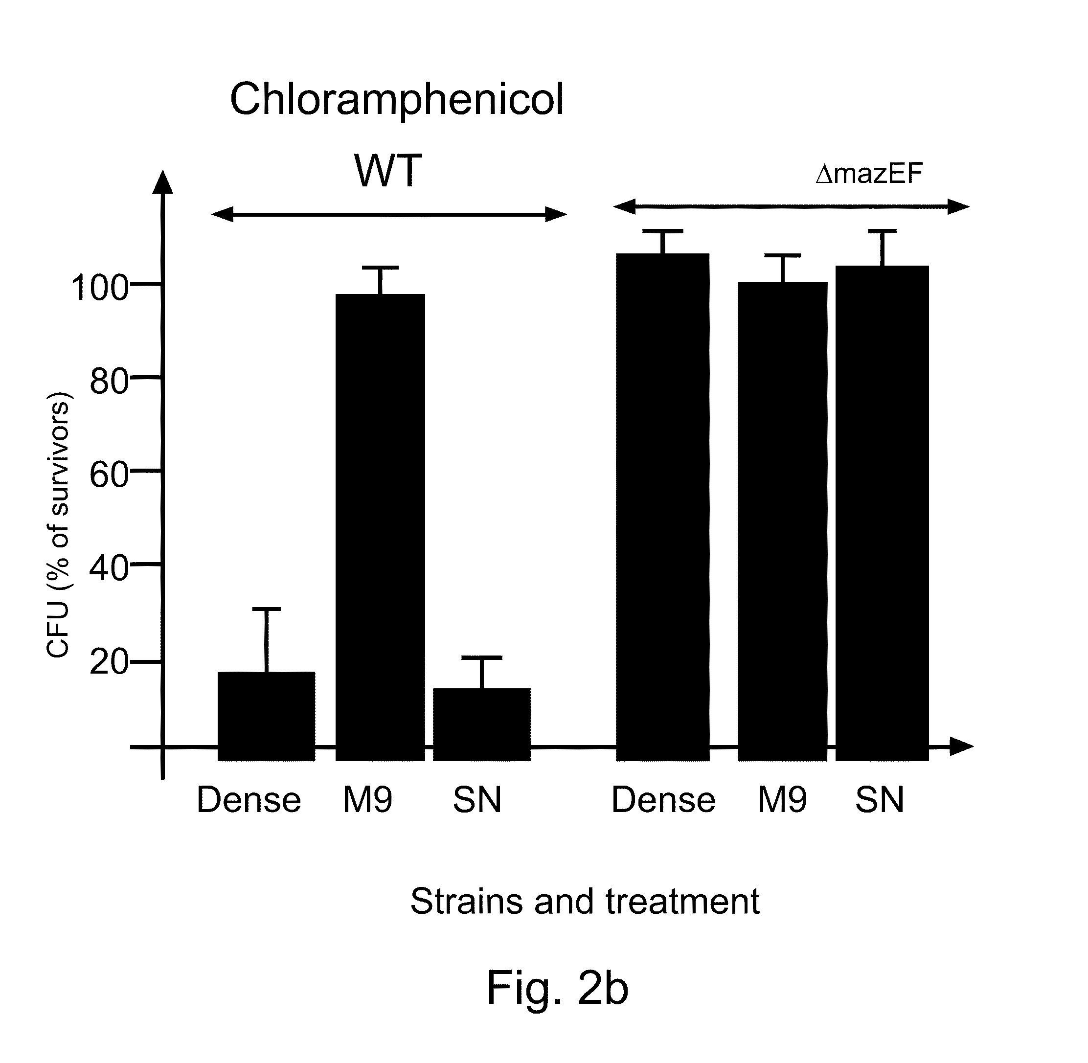 Anti-bacterial peptides and methods of treating diseases using same