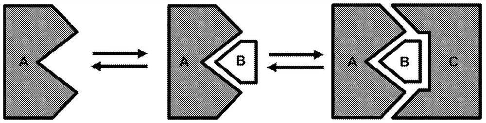 Tri-part systems for protein dimerization and methods of use