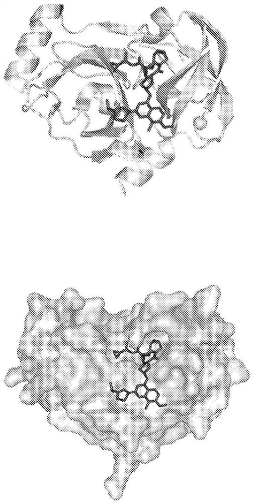 Tri-part systems for protein dimerization and methods of use