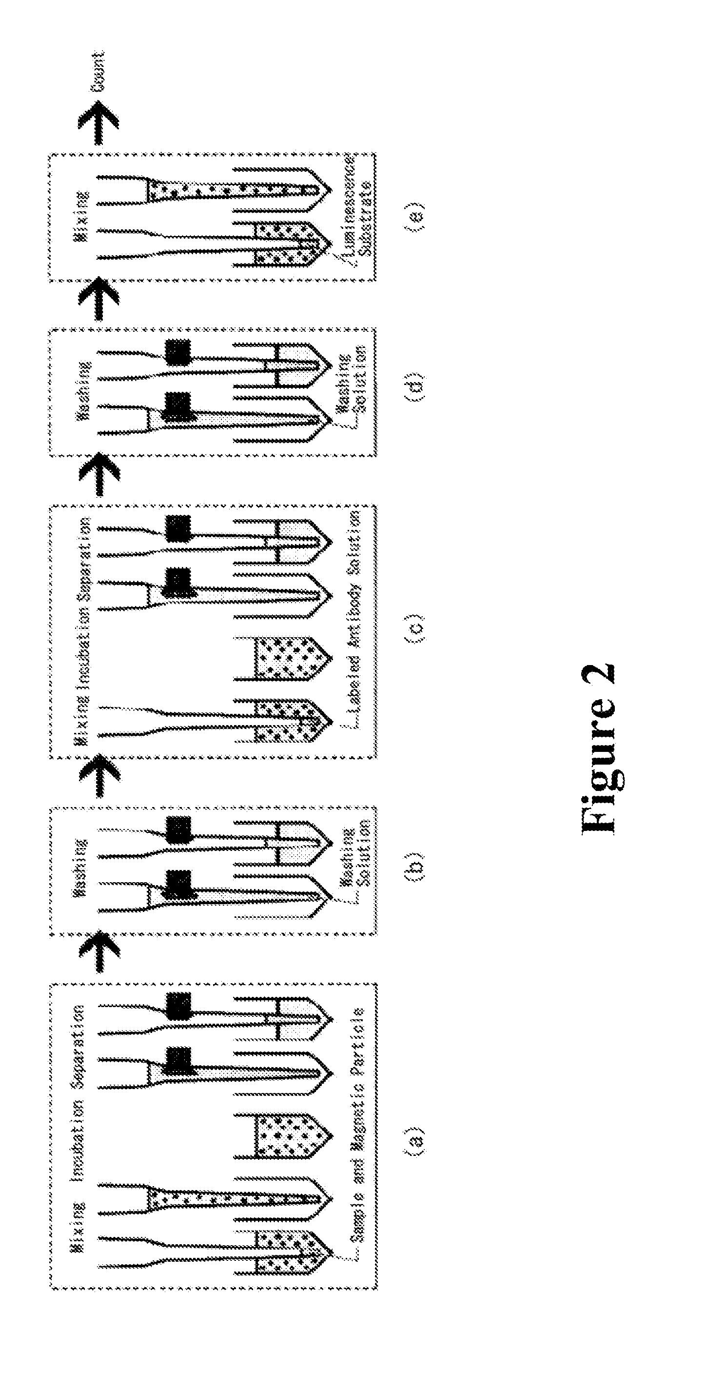 Method for automatic determination of sample
