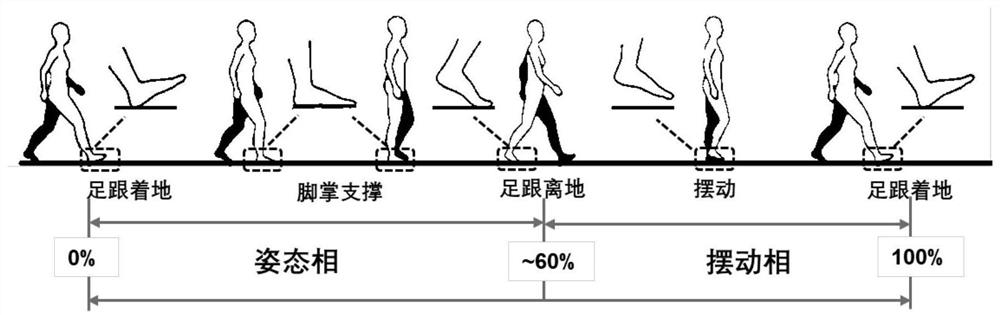 Estimation method of pedestrian height and position in multi-storey building based on mems sensor