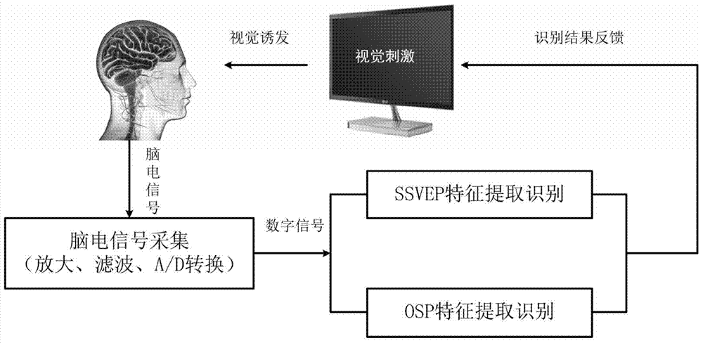Hybrid brain-computer interface method based on ssvep and osp