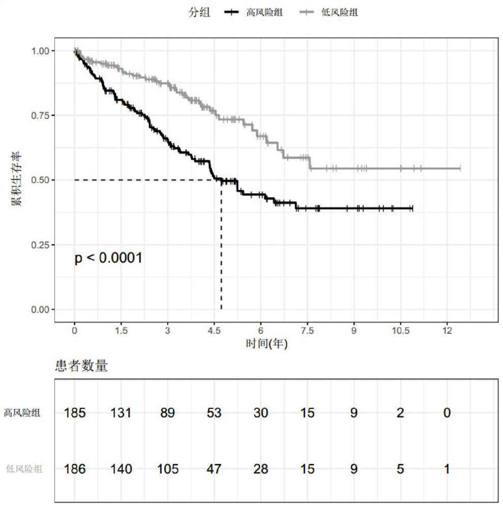 Biomarker for predicting prognosis of kidney cancer patient