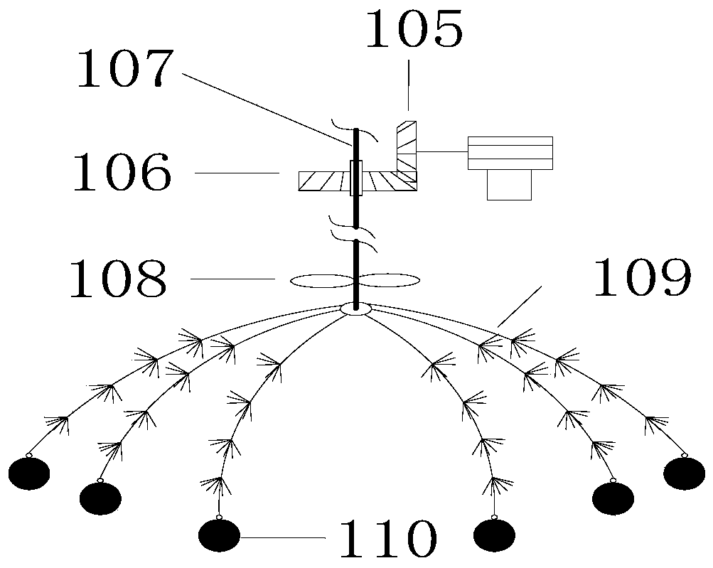 A method and device for inoculating activated sludge to treat and maintain black and odorous water bodies