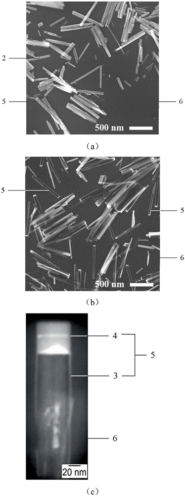 Nanotube-based fluorescence marked carrier and preparation method thereof