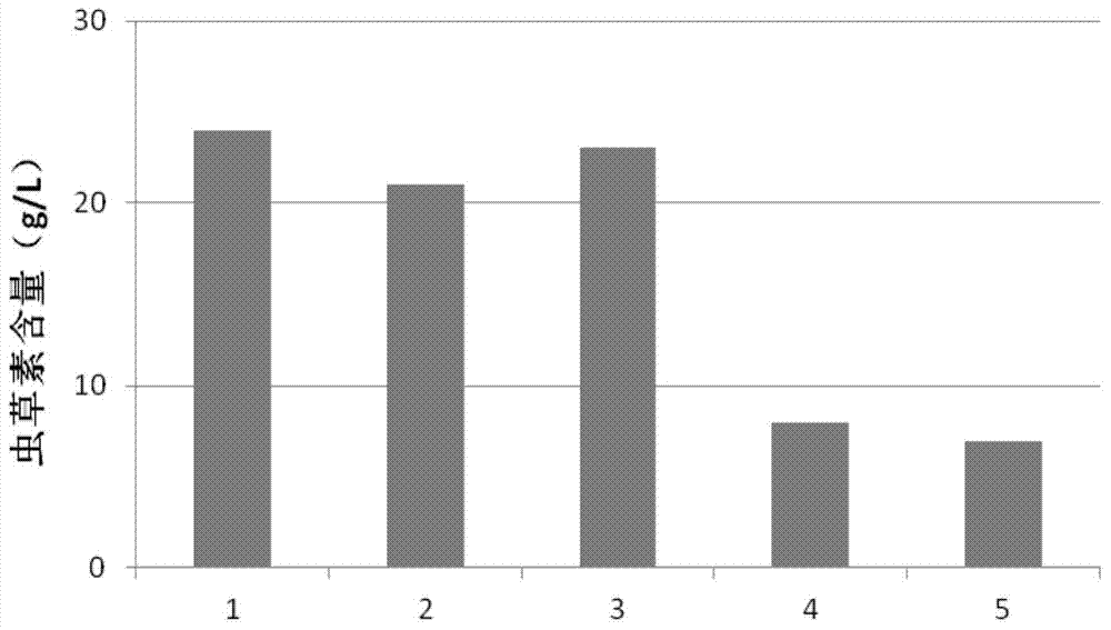 Cordycepin fermentation solid medium and preparation method and application thereof