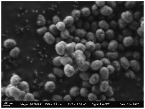 Synthesis method of titanium silicon molecular sieve ts-1 for catalytic hydrogen peroxide oxidation reaction